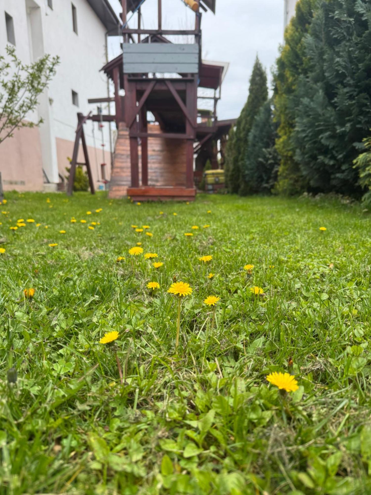 Pensiunea Casa Rica Călimăneşti Eksteriør bilde